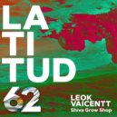 LeoK & Vaicentt - Shiva Grow Shop (Original Mix)