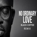 Sade - No Ordinary Love (Black Coffee Inspired)