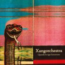 Xangorchestra - Sinfonia: II. Adagio
