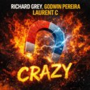 Richard Grey, Laurent C, Godwin Pereira - Crazy (Original Mix)