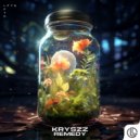 Kryszz - Remedy ()