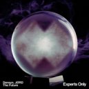 JØRD, Dansyn - The Future (Extended Mix)