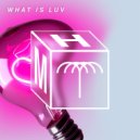 Rafael, Mita Gami - What Is Luv (Extended Mix)