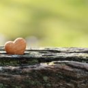 Osc Project - Piece of Your Love