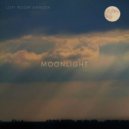 Lofi Room Garden - Moonlight ()