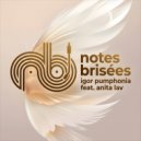 Igor Pumphonia - Notes Brisées (Dub)