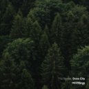 Dove City - The Seeker