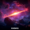 Disco Mirror Project - Angina ()