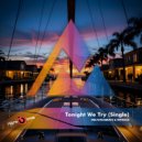 Mr.Fatsobeats & Nitrous - Tonight We Try (Original Mix)