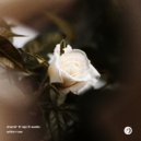 shandr & TAPI & Aselec - White Rose ()