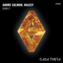 Andre Salmon & Haleey - Sands ()