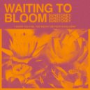 sunstoney - WAITING TO BLOOM ()